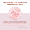 SKIN 1004 Madagascar Centella Poremizing Clarifying Mask