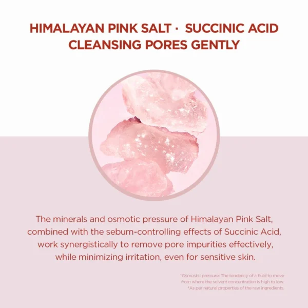 SKIN 1004 Madagascar Centella Poremizing Clarifying Mask