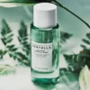 SKIN1004 Madagascar Centella Tea-Trica Purifying Toner
