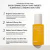 celimax Pore + Dark Spot Brightening Serum