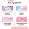FJ_re02_f89facca-4970-447d-8c31-381319b2bc76 Abib PDRN Collagen Overnight Mask Firming Jelly