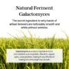 mixsoon Galactomyces Ferment Essence 100ml