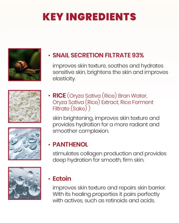 k-secret-seoul-1998-cream-snail-mucin-93-rice-100-ml-key-ingredients_1024x1024 K-SECRET SEOUL 1998 Cream: Snail Mucin 93% + Rice 100ml