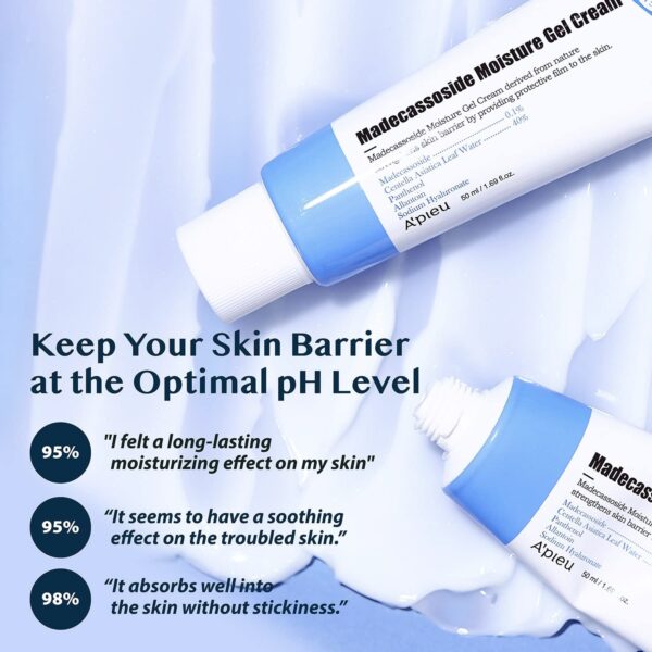 Version 1.0.0 A'pieu Madecassoside Moisture Gel Cream