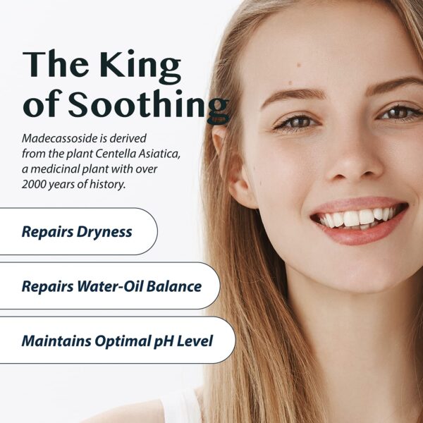 Version 1.0.0 A'pieu Madecassoside Moisture Gel Cream