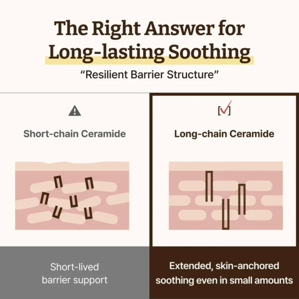 5 Dr. Reju-All Advanced LC-Ceramide Barrier Cream 50ml